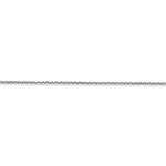 10PE146--3.jpg
