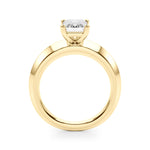 Emerald Cut Solitaire Lab Grown Diamond Engagement Ring - VS1 D/E/F | 14K & 18K Gold | 14K Rose Gold | Emerald Cut Lab Diamond | Picasso Gold & Diamond Chicago