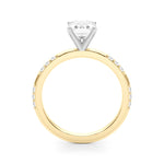 Round Single Row Lab Grown Diamond Engagement Ring - VS1 D/E/F | 14K & 18K Gold | Platinum | Round Lab Diamond | Picasso Gold & Diamond Chicago