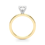 Round Single Row Lab Grown Diamond Engagement Ring - VS1 D/E/F | 14K & 18K Gold | Platinum | Round Lab Diamond | Picasso Gold & Diamond Chicago