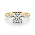 Round Hidden Halo Lab Grown Diamond Engagement Ring - VS1 D/E/F | 14K & 18K Gold | 14K White Gold | Round Lab Diamond | Picasso Gold & Diamond Chicago
