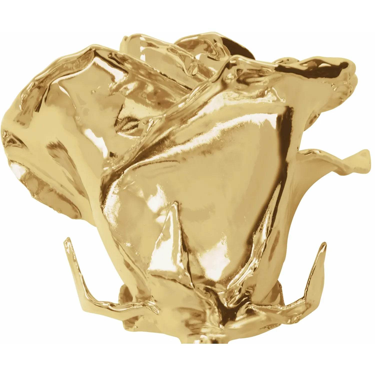 Lacquered 24K Gold-Plated Rose - A Golden Symphony of Timeless Beauty - Picasso Gold & Diamond Jewelry