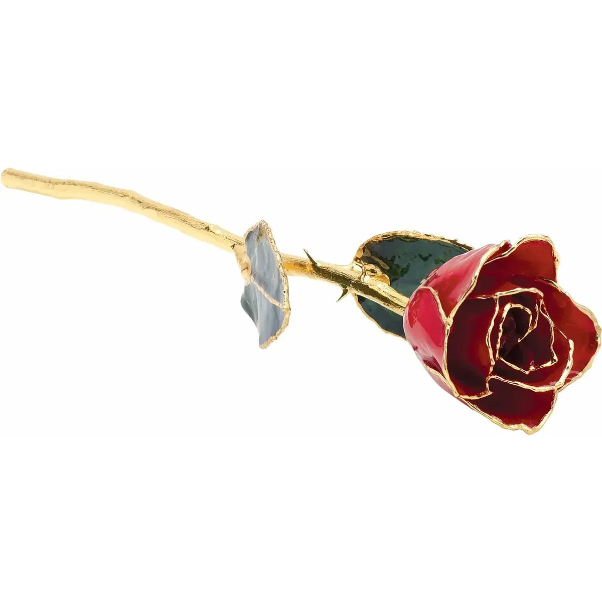 Gold-trimmed red rose with green leaves, fine jewelry floral gift on white background