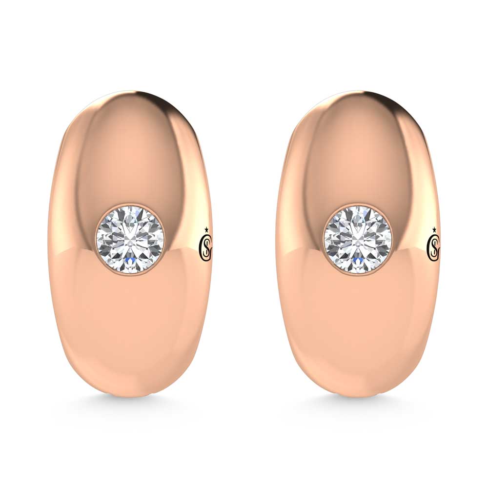 14K Rose Gold Diamond 1/4 Ct.Tw. Flush Setting High Polish Hoop Earrings  Picasso Gold & Diamond Jewelry