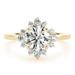 Round Halo Lab Grown Diamond Engagement Ring - VS1 D/E/F | 14K & 18K Gold | 14K Yellow Gold | Round Lab Diamond | Picasso Gold & Diamond Chicago