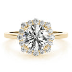 Round Halo Lab Grown Diamond Engagement Ring - VS1 D/E/F | 14K & 18K Gold | 14K Yellow Gold | Round Lab Diamond | Picasso Gold & Diamond Chicago