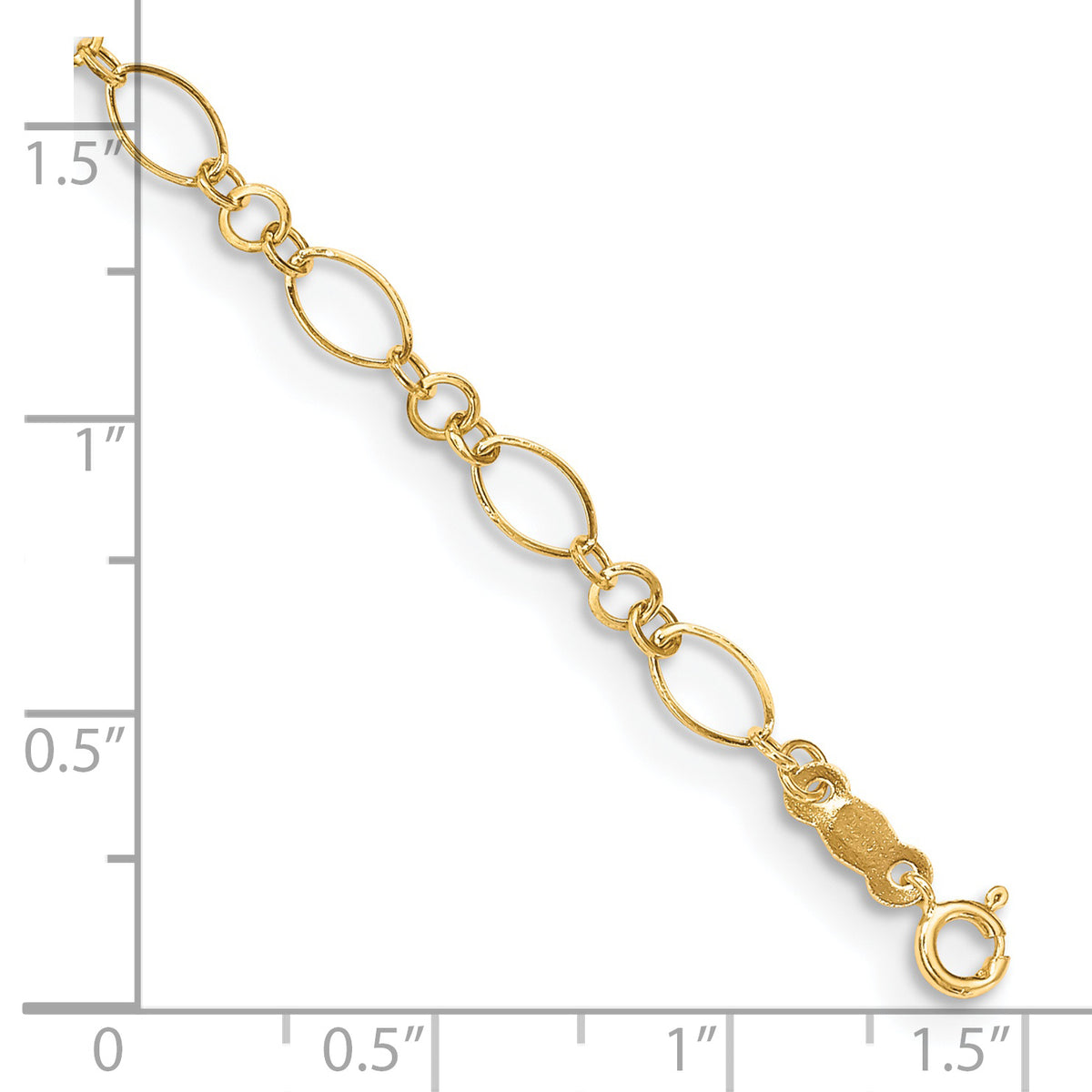 ANK221-10--8.jpg