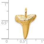 C4589--8.jpg