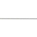 PEN197--3.jpg