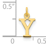 XNA1160GP_Y--8.jpg