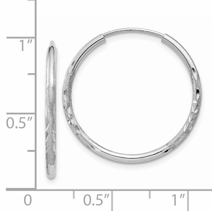 XY1195--8.jpg