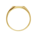 Men's Round Signet Ring in 14K Gold - 14K Yellow Gold