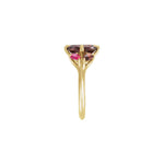Natural Mozambique Garnet & Lab-Grown Ruby Ring in 14K Yellow Gold - 14K Yellow Gold