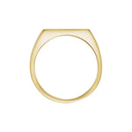 Rectangle Signet Ring in 14K Gold - 14K Yellow Gold